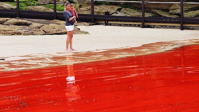 Reports of rivers turning red all over the world have shocked Biblical scholars who say it is a sign we have reached the end times.