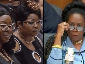 Conservative social media stars Diamond and Silk were treated like criminals by Democrats in Congress, but they came out on top.
