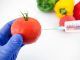 Study confirms GMO DNA is absorbed by humans
