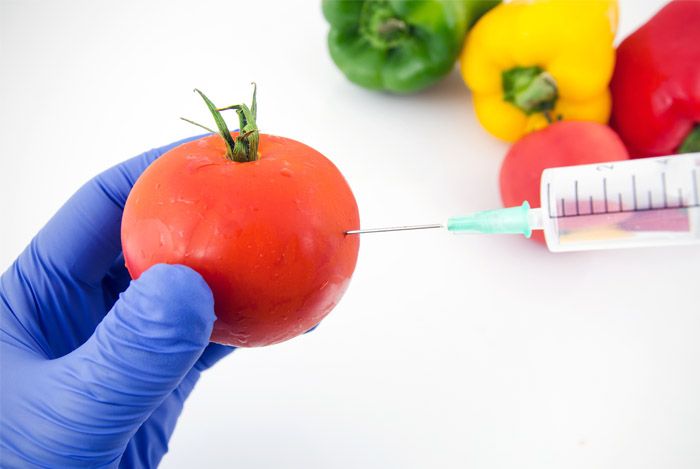 Study confirms GMO DNA is absorbed by humans
