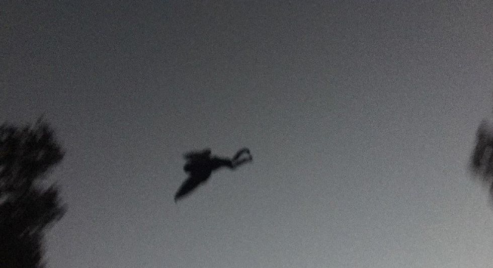 Thousands of residents in Chicago witness The Mothman