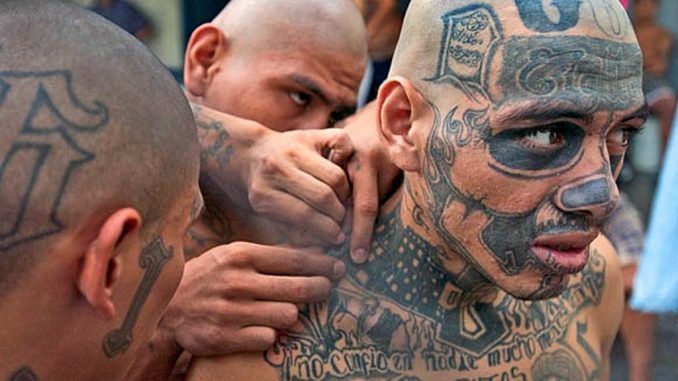 MS-13, the notorious street gang dubbed "the world's most feared" is allegedly sacrificing underage American girls in "Satanic rituals".