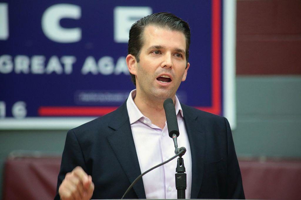 Trump Jr says Tommy Robinson imprisonment is reason for original Brexit