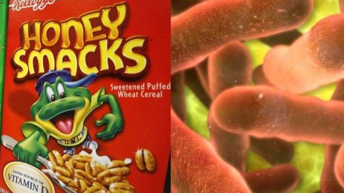 CDC issue salmonella warning for Kellogg's Honey Smacks cereal