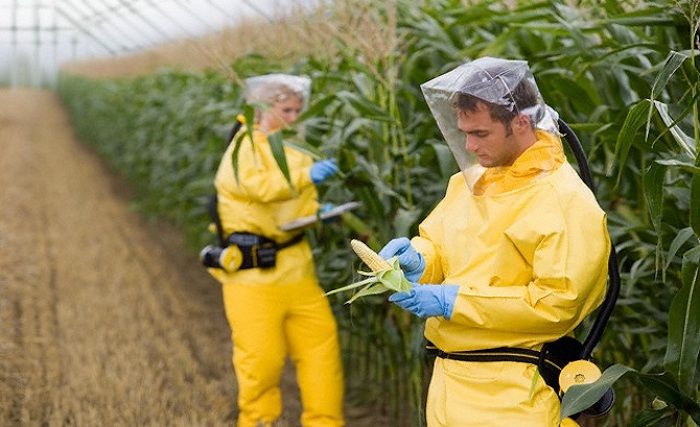 Former Monsanto employee reveals entire department exists to discredit scientsits on cancer dangers