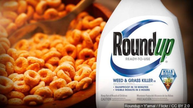 Popular weed killer Roundup, found in children's cereals, linked to cancer