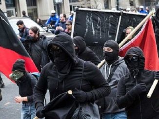 Huffington Post reporter urges media not to cover Antifa violence