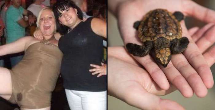 A 26-year-old British woman who had complained of pain in her abdomen was hospitalized in Spain after doctors found a turtle in her vaginal cavity. 