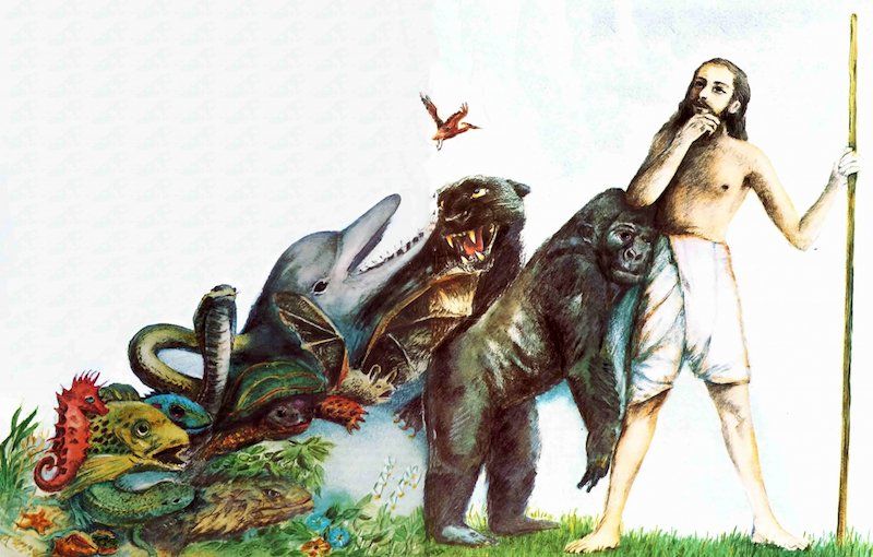 Hundreds of the world's leading scientists have jointly declared Darwin's theory of evolution to be outdated and unscientific.