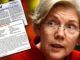Democratic Senator Elizabeth Warren is in hot water after allegations have surfaced that she plagiarized her " family Cherokee" recipes in the cook book "Pow Wow Chow" from the New York Times and other publications.