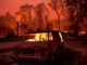 46 dead as California wildfires continue to rage