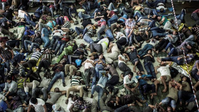 New global UN pact will flood Europe with extra 59 million migrants by 2025, MEP warns