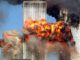 Donald Trump hints that 911 was a controlled demolition