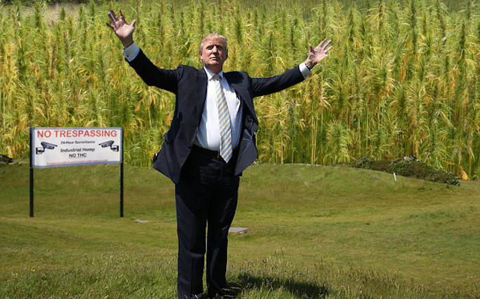 President Trump has officially legalized hemp nationwide