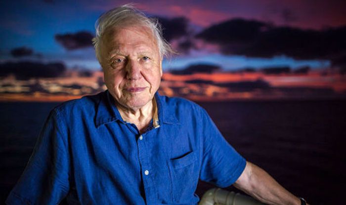David Attenborough warns mankind is on the brink of collapse