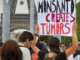 French court bans Monsanto's weedkiller because it causes cancer