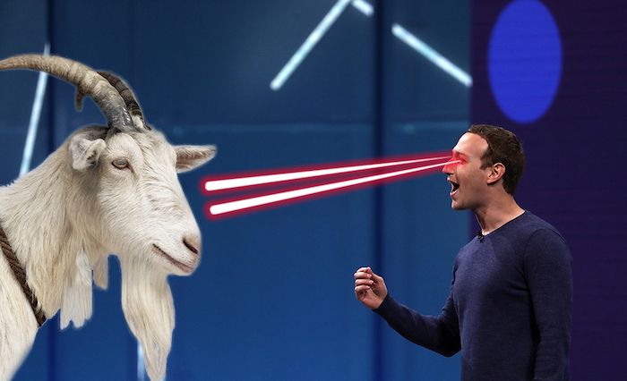 Mark Zuckerberg fed Jack Dorsey raw goat he killed with a laser