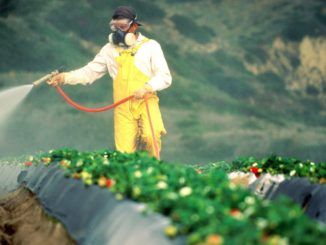 Washington University confirms link between Roundup and increased risk of cancer