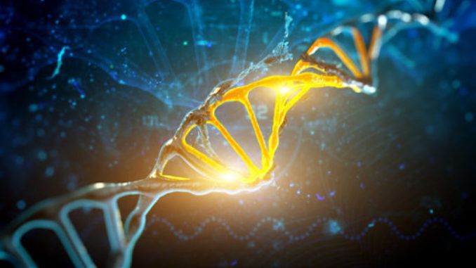 Harvard scientists discover DNA switch that allows whole-body regeneration
