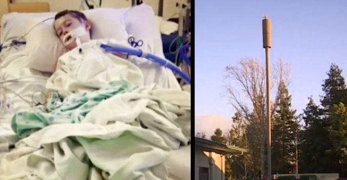 California school urged to remove cell tower after 4th student develops cancer