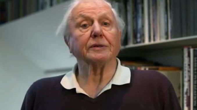 Sir David Attenborough says sending foot to famine-ridden country is 'barmy' in depopulation rant