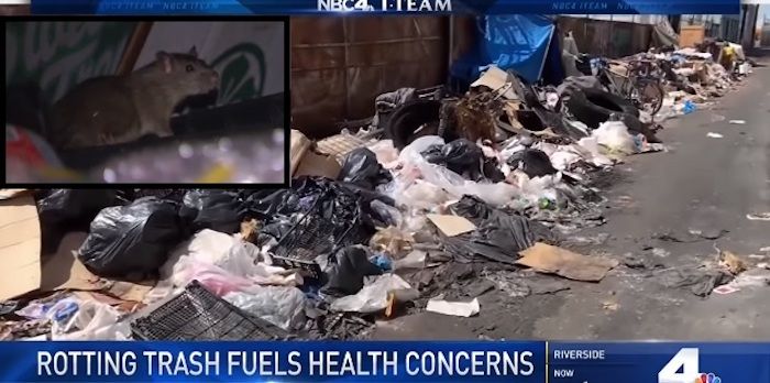Rotting trash in LA attracting rats and fears of epidemic, NBC report finds