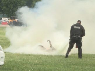 Footage has emerged of a man setting himself on fire in Elipse Park, Washington D.C. as secret service agents try to save him.