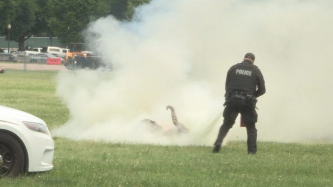 Footage has emerged of a man setting himself on fire in Elipse Park, Washington D.C. as secret service agents try to save him.