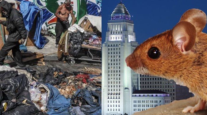 Los Angeles City Hall is "infested with rats" according to an uncovered report that connects the plague of rodents to the enormous homeless population in the liberal city.