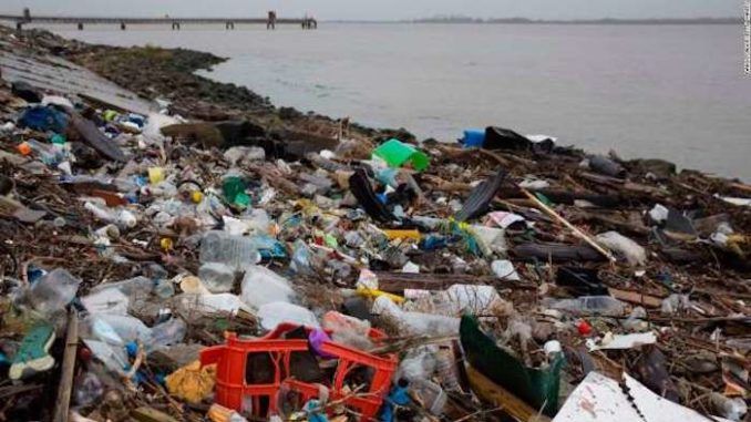 The average person now swallows five grams of plastic each week — the same amount of plastic as a credit card, according to a WWF study.