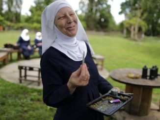 Nuns who call cannabis a 'gift from God' begin growing their own weed