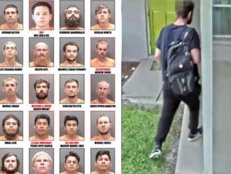 Sarasota Sheriff's office arrest 25 pedophiles in large undercover sting