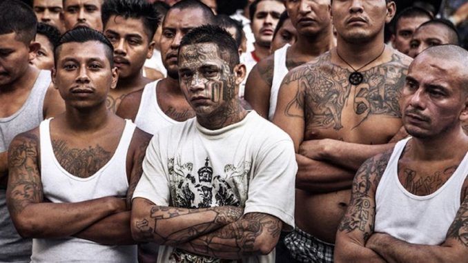 22 members of MS-13 gang arrested in California for murder and dismemberment of others