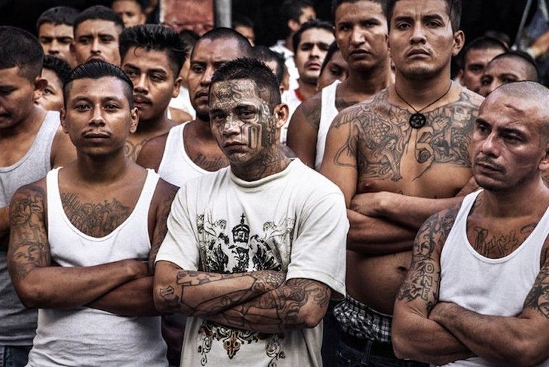 22 members of MS-13 gang arrested in California for murder and dismemberment of others