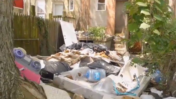 Video proves Baltimore is a rat-infested dump