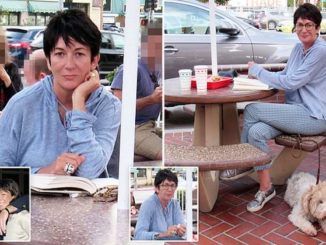 Jeffrey Epstein's child groomer Ghislaine Maxwell spotted at fast food restaurant reading book about secret lives and deaths of CIA operatives