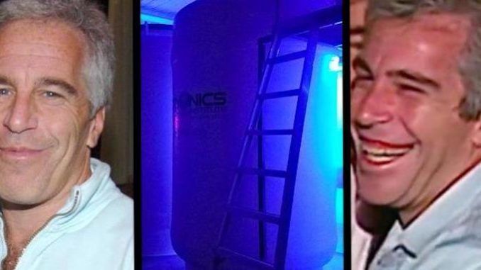 Jeffrey Epstein wanted his penis cryogenically frozen and vowed to plant his seed throughout human DNA