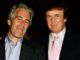 Court docs reveal Donald Trump did not partake in sex with any of Epstein's girls
