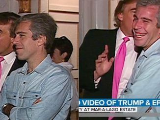 Jeffrey Epstein kept photos of him and Donald Trump