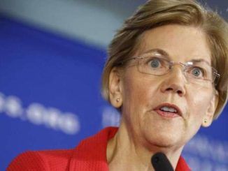 Sen. Elizabeth Warren has unveiled a plan to address “environmental racism” that includes funneling $1 trillion to minority communities.