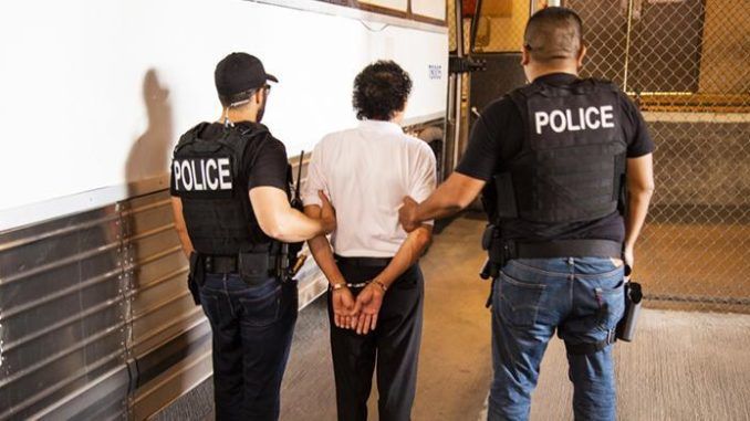ICE's Homeland Security Investigations initiated 4,224 child exploitation cases in the past fiscal year, resulting in 3,771 criminal arrests.