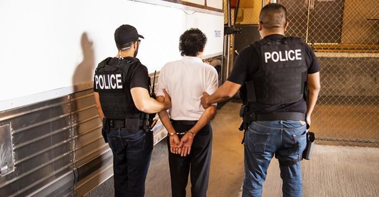 ICE's Homeland Security Investigations initiated 4,224 child exploitation cases in the past fiscal year, resulting in 3,771 criminal arrests.