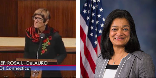 Rep. Rosa DeLauro and Rep. Pramila Jayapal are attempting to overturn decades of federal precedent and intent by funding elective abortion with taxpayer dollars