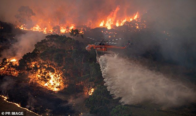 A firefighting helicopter tackles a bushfire near Bairnsdale in Victoria's East Gippsland region on New Year's Eve. Michael Truong is accused of trying to start a bushfire in the same region