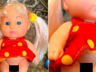 A transgender children's doll complete with a dress and male genitalia — believed to be the world's first doll of its kind — has been spotted for sale in a toy shop.