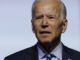 Democrat presidential candidate Joe Biden says it is “absolutely bizarre” to suggest a limit on immigration to the U.S.