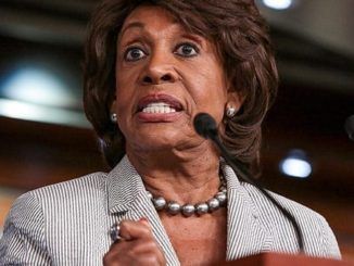 Rep. Maxine Waters (D-CA) appeared on MSNBC Tuesday and admitted that "average American" voters are not "resisting Trump" and "speaking out" against him.
