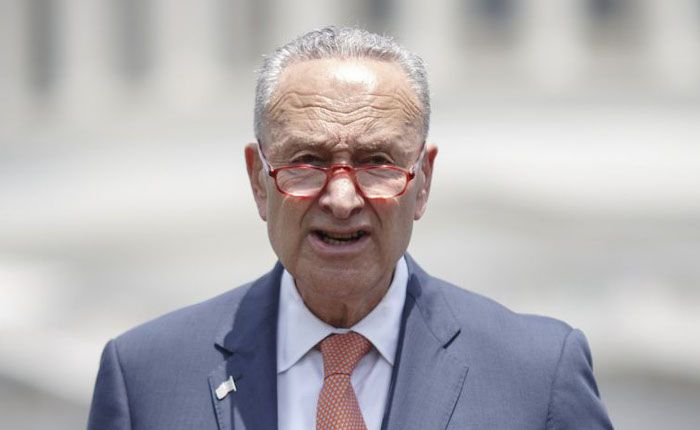 Democrat joints call for Chuck Schumer to resign as Sen. Hawley brings motion to censure