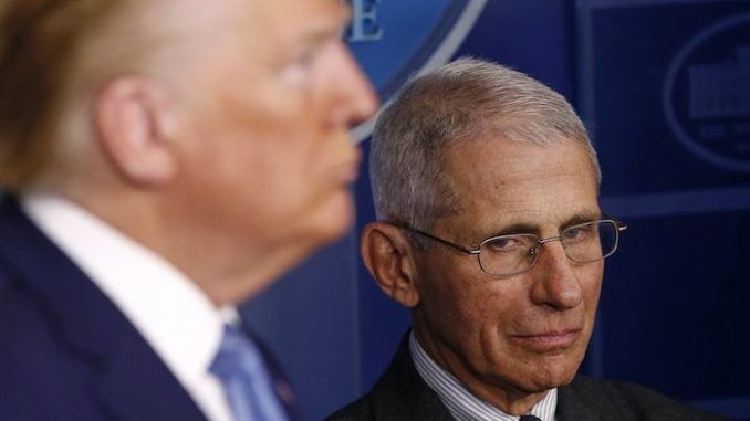 Dr. Anthony Fauci has slammed the way President Donald Trump is conducting his daily coronavirus press conferences, complaining about the number of times he has to tell President Trump facts to get his point across, and stating 'I can't jump in front of the microphone and push him down.'