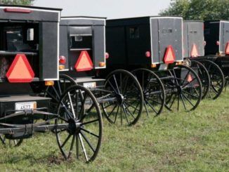 Northeastern Ohio cops busted up a large, Amish late-night barn party on the weekend after a snitch spotted a large group of buggies and called 911 to report a stay-at-home order violation.